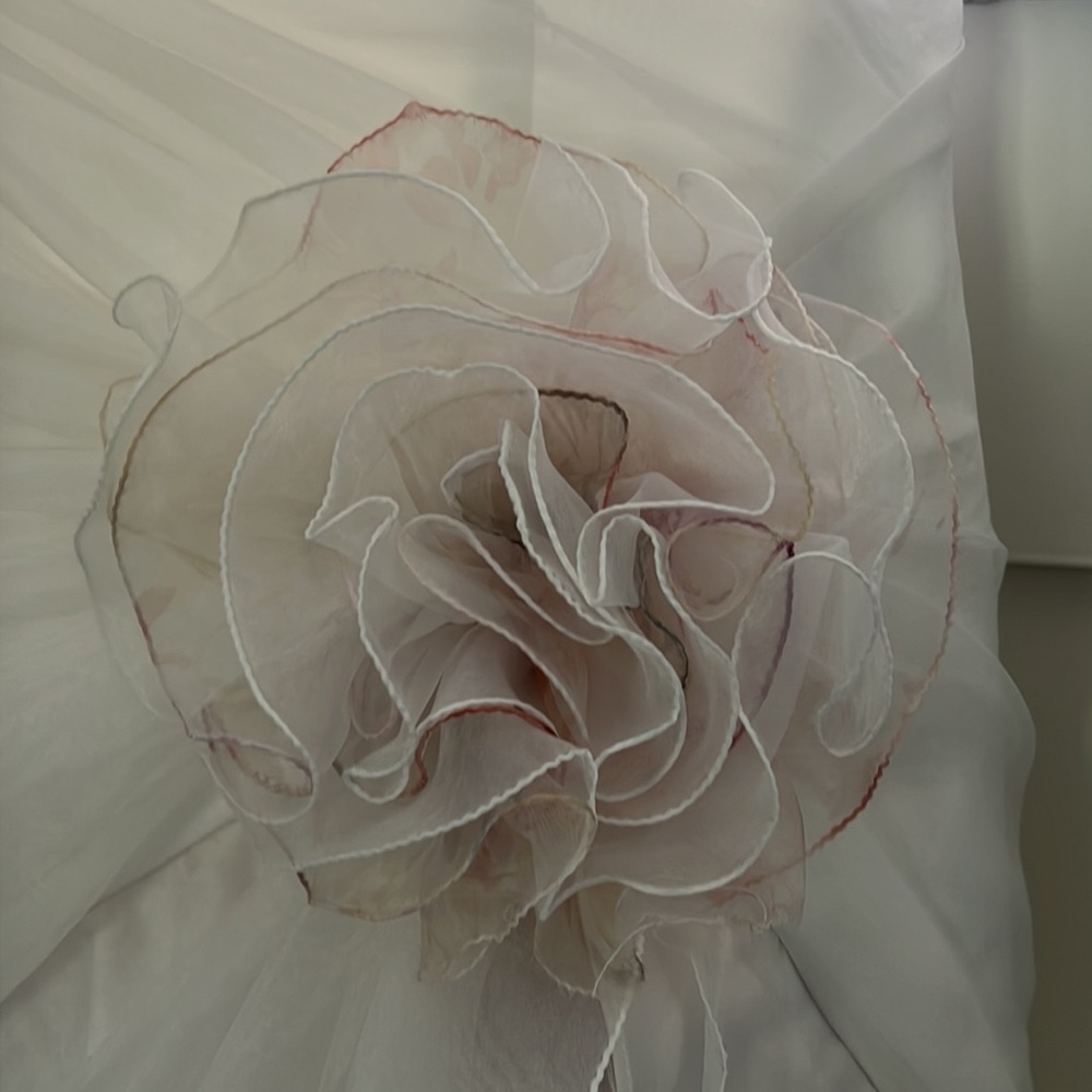 David’s Bridal Wedding Dress - Women’s 4 - Picture 5 of 14